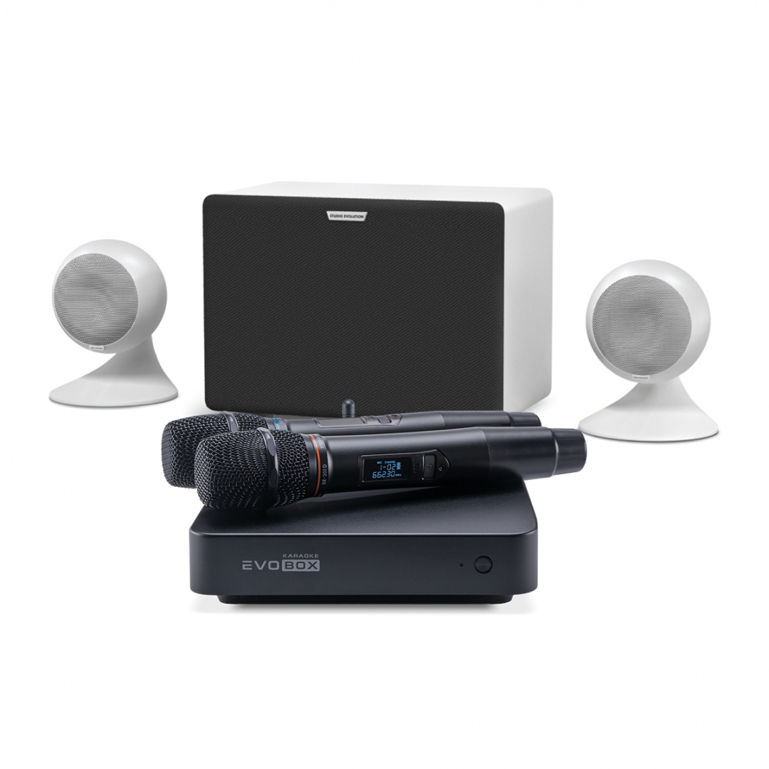 караоке-комплект EVOBOX Classic + EvoSound Sphere 2.1 в Можге