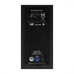 Активная акустическая система AST-310A в Можге