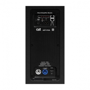 Активная акустическая система AST-312A в Можге