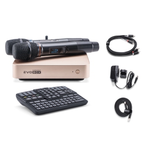 EVOBOX Classic караоке-система для дома в Можге
