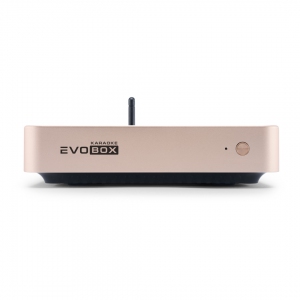 EVOBOX Plus караоке-система для дома в Можге