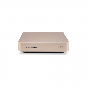 EVOBOX с микрофонами в Можге